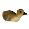 Ente schwimmend, Breite ca. 25cm